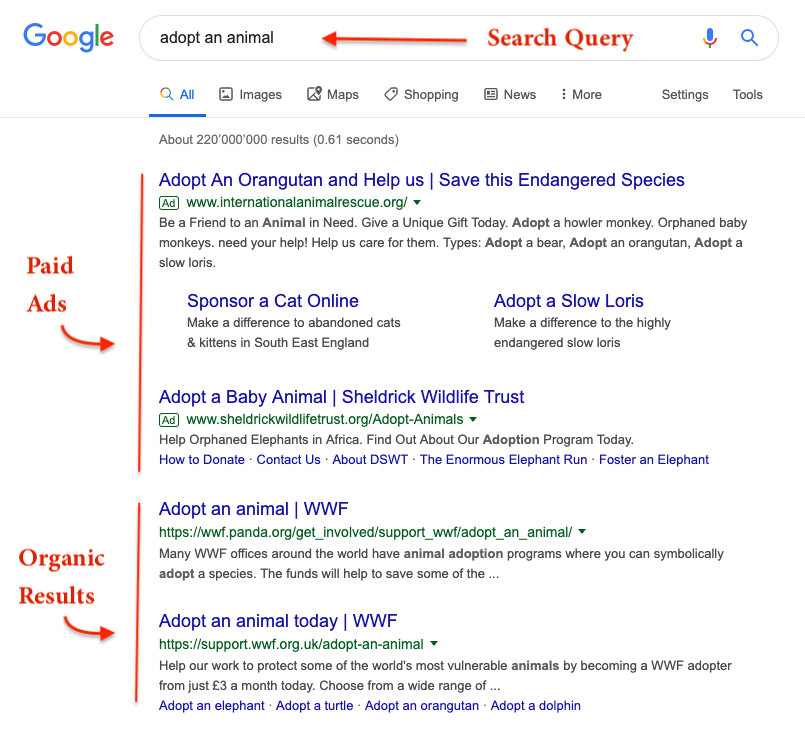 Search Results Adopt An Animal