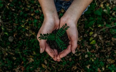 8 Ways To Make Your Marketing Campaign Eco-Friendly
